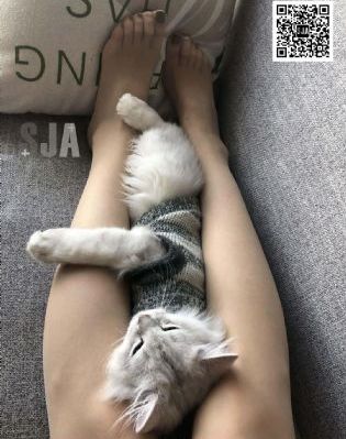 星空影院电视剧免费观看