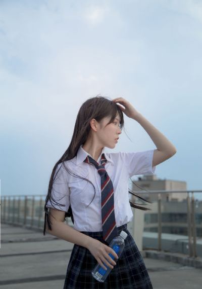 金装的维尔梅2