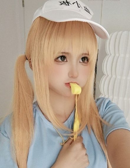 至上之法