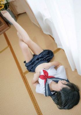 树先生免费观看全集