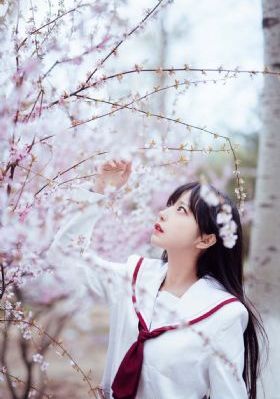 九州缥缈录演员表