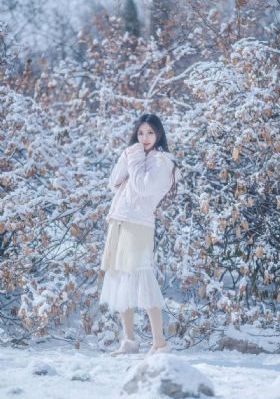 张卫健版《西游记》