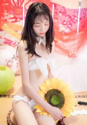 kcddy动漫在线观看免费视频